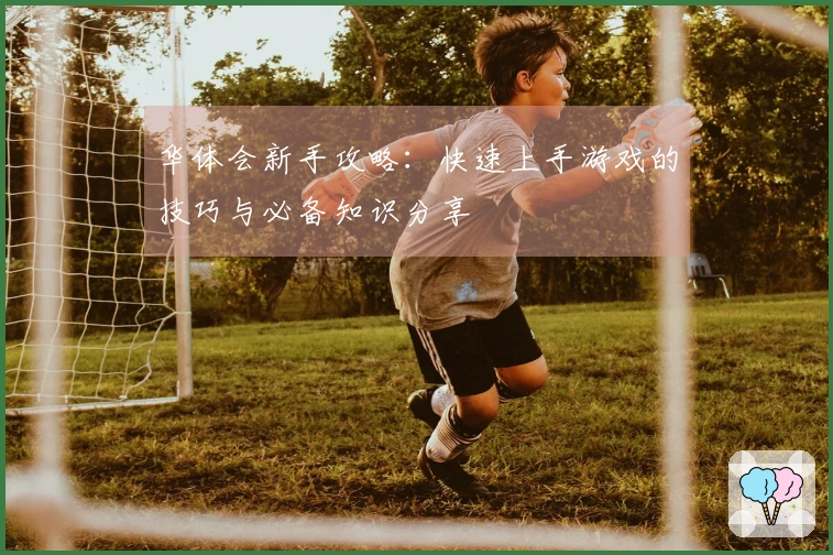 华体会新手攻略：快速上手游戏的技巧与必备知识分享