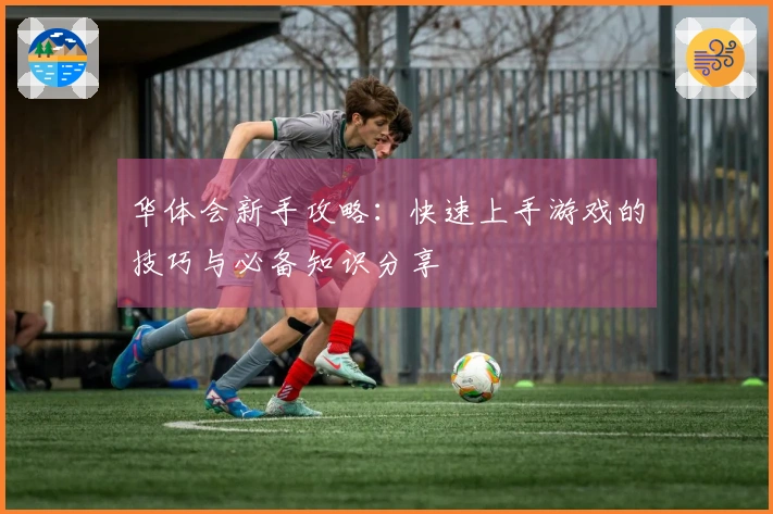 华体会新手攻略：快速上手游戏的技巧与必备知识分享